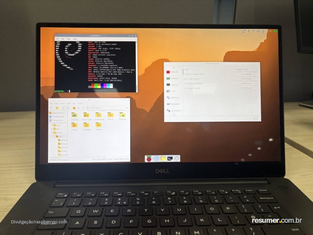 Raspberry Pi Desktop rodando em um PC com interface gráfica
