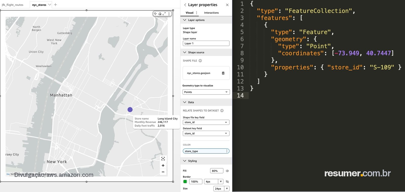 Layer map rendering a retail store location as a point