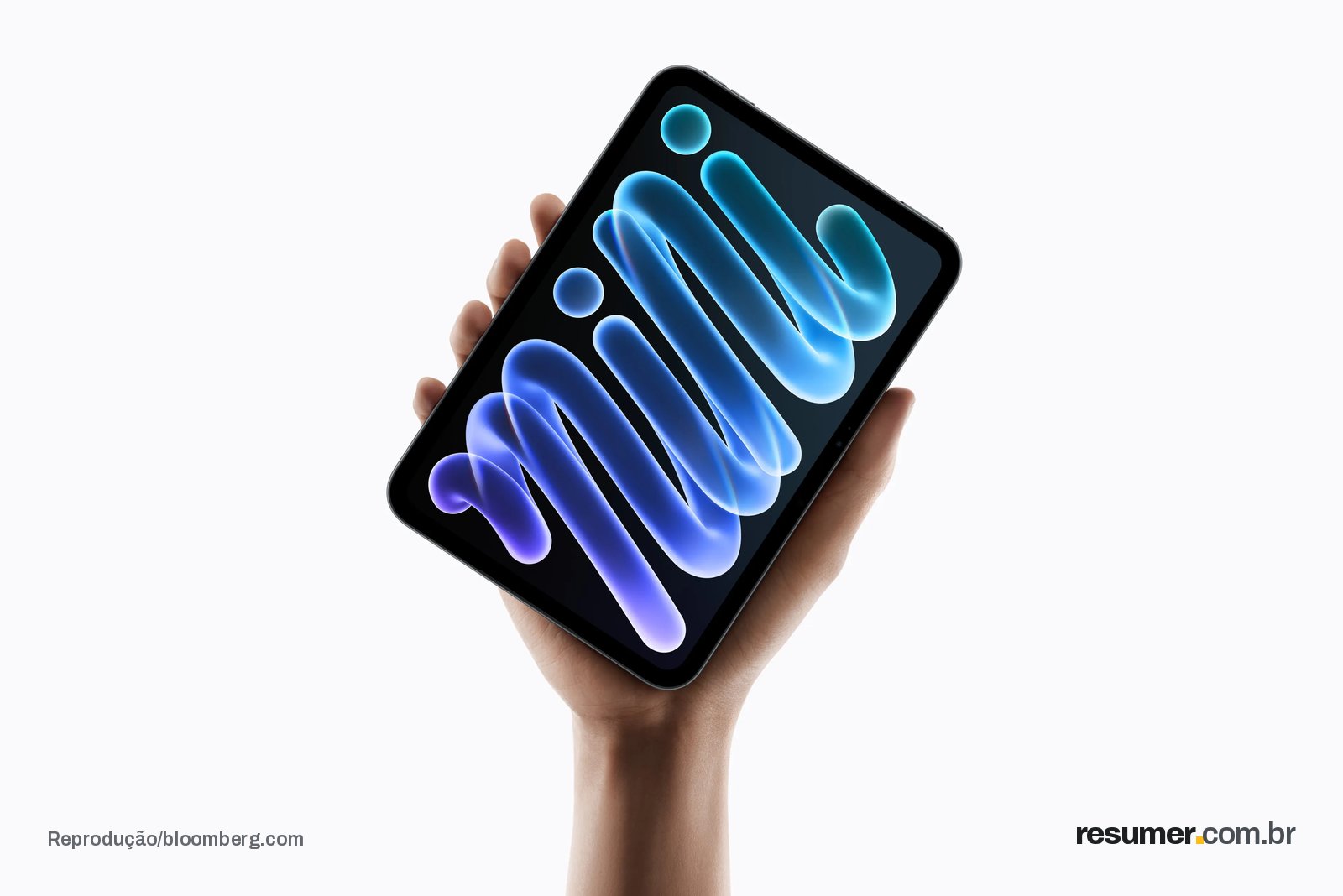 Apple Inc.’s iPad mini